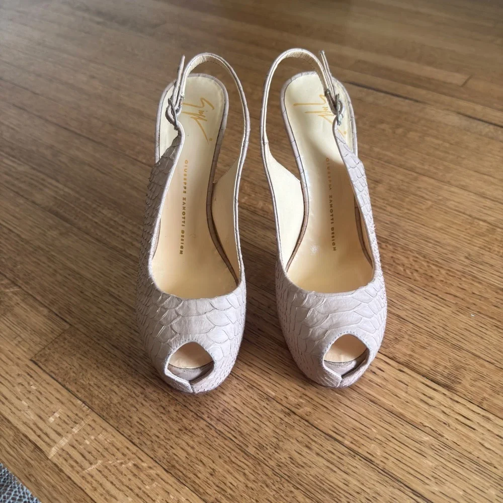 Giuseppe Zanotti giuseppe zanotti